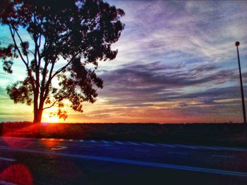 Silhouette trees by road against sky during sunset