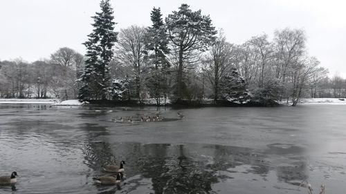 Scenic view of lake