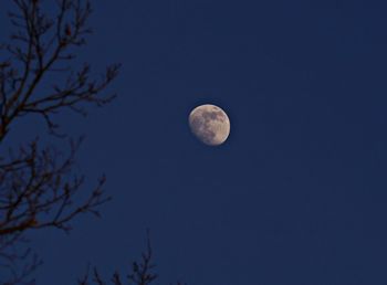 Low angle view of moon against clear sky at night