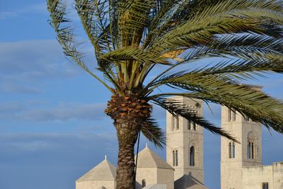 Low angle view of palm trees against blue sky