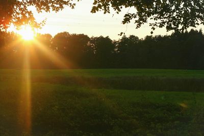 Scenic view of field against sky during sunset