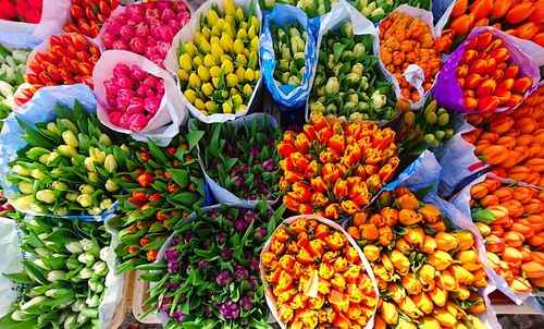 Full frame shot of fresh colorful tulips at store