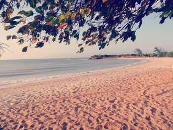 Scenic view of beach against sky during sunset