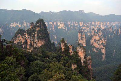 Panoramic view of trees and mountain range