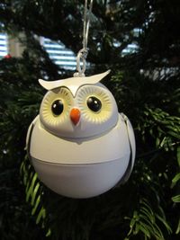 Close-up of christmas decoration hanging on tree