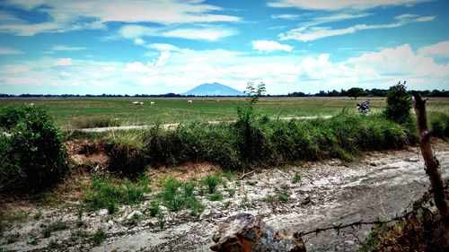 Scenic view of field against cloudy sky