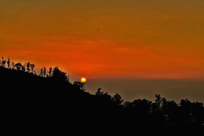 Silhouette trees on landscape against orange sky