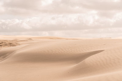 Details of a sand dune in beautiful light
