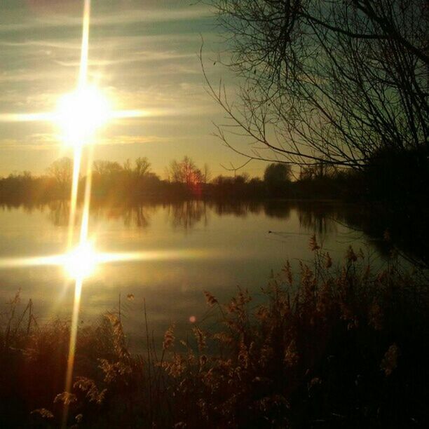 sun, sunset, sunbeam, tranquility, tranquil scene, sunlight, scenics, beauty in nature, lens flare, sky, nature, silhouette, reflection, lake, tree, idyllic, bright, plant, water, growth