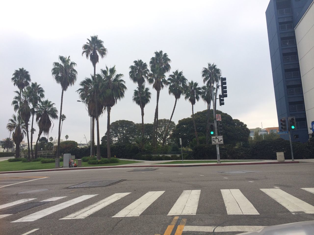 tree, building exterior, road, road marking, architecture, built structure, street, palm tree, sky, city, transportation, the way forward, road sign, communication, street light, outdoors, growth, day, clear sky, city street