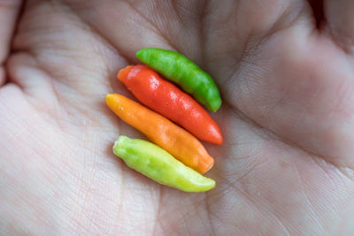 Close-up of hand holding vegetables