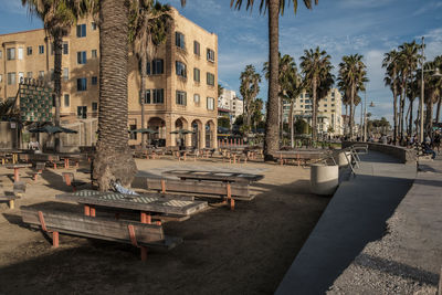 Palm trees and buildings against sky