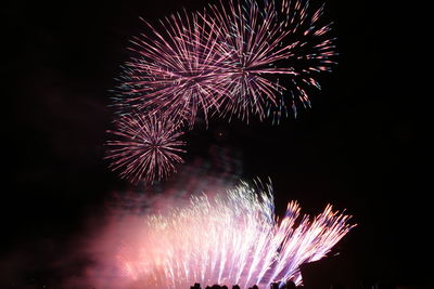 Low angle view of firework display at night