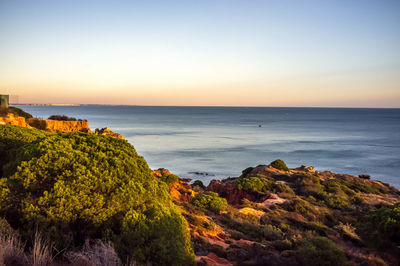 Scenic view of sea against clear sky