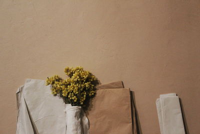 White flowering plant against wall
