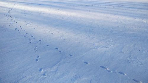 High angle view of footprints on snow covered land