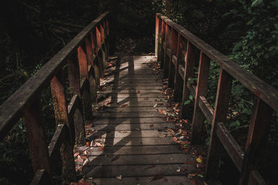 Wooden footbridge amidst plants in forest