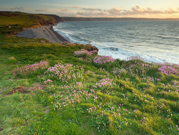 Scenic view of sea against sky