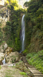 Scenic view of waterfall in forest