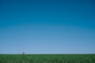 Scenic view of field against clear blue sky