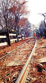 Railroad tracks in autumn