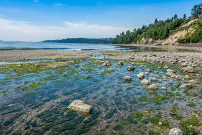 Scenic view of sea against blue sky