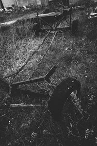 View of train on road