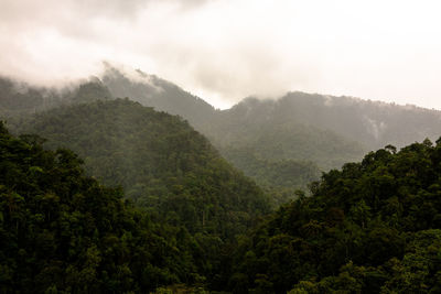 Scenic view of mountain slope and jungle against sky