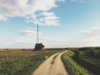 Scenic view of field against cloudy sky