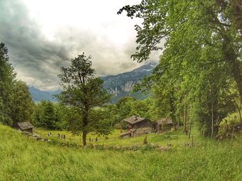 Scenic view of landscape against cloudy sky