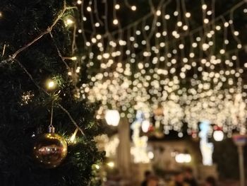 Illuminated christmas tree at night