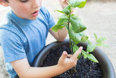 Close-up of boy holding plant