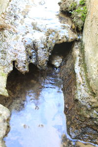 High angle view of rocks in water