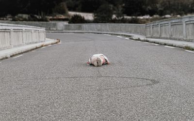 Low section of woman lying on road