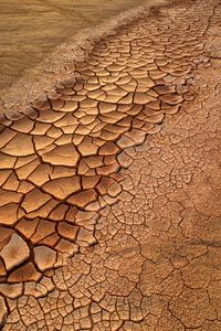 Close-up of cracked land