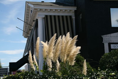 Low angle view of historic building against sky