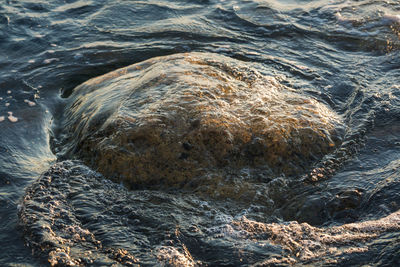 High angle view of sea