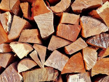 Full frame shot of wooden logs in forest