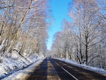 Empty road along bare trees during winter