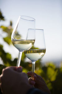 Close-up of hand holding wineglass