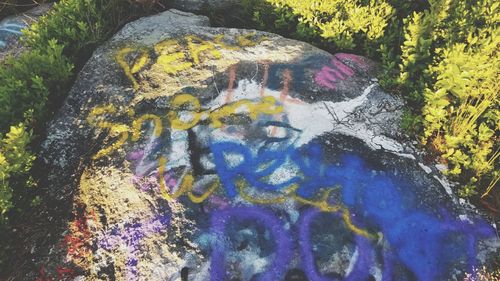 High angle view of multi colored rock in water