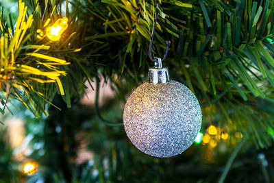 Close-up of christmas decoration hanging on tree