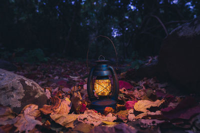 Close-up of illuminated lantern by autumn leaves