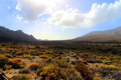 Scenic view of landscape against sky