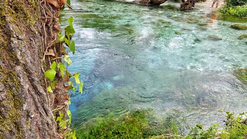 High angle view of water flowing in grass