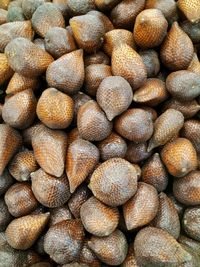 A pile of brown bark fruit photo