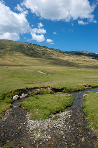 Scenic view of field against sky