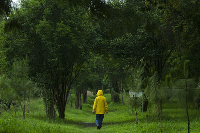 Rear view of man standing on field