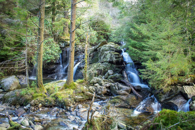 Stream flowing through rocks