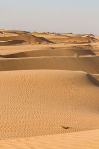 Sand dunes in desert against clear sky